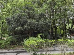 -成都南湖公园