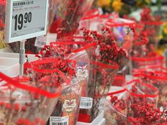 -盒马X会员店(王府井奥莱UP TOWN店)