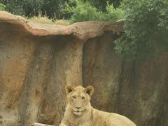 -北京野生动物园