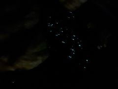 -怀托摩萤火虫洞