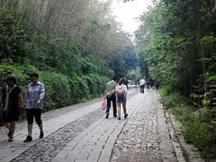 -紫金山天文台