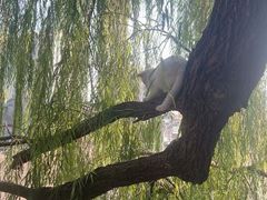 -舒羽咖啡(运河店)