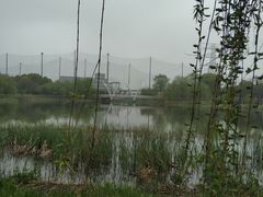 -九里河湿地公园