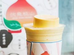 -伏小桃(明瓦廊店)