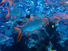 -成都浩海立方海洋公园