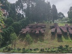 -云南野生动物园