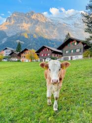 -Oasis Beauty水磨坊科技美肤中心