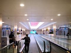 -上海浦东国际机场-T2航站楼