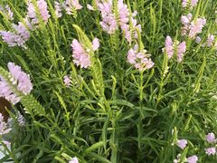 -南宫温泉水世界