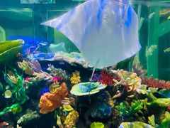 -成都浩海立方海洋公园