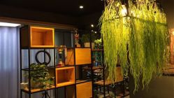 点击看大图 -藤野造型·专业烫染店