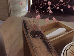 -柴务处·柴犬主题狗咖