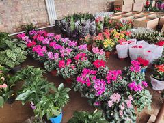 -包头市畅兴现代农业园