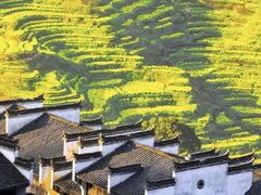-婺源风景区