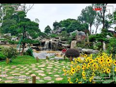 -东莞植物园