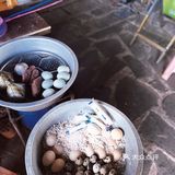 海南旅游｜定安龙门冷泉夏天避暑胜地！[礼花]