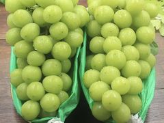 -巴城镇马料江村葡萄园