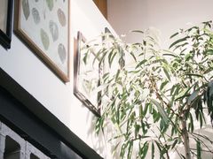 -自由生长植物工作室(深港花卉中心店)