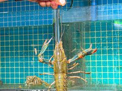 -三妹小龙虾·黄油蟹(华侨城总店)