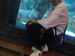 -杭州海底世界