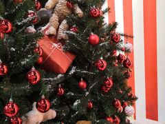 -宜家家居(哈尔滨商场店)