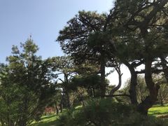 -迎泽公园