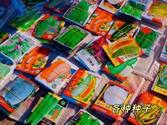 -宿州花鸟鱼虫古玩宠物大市场