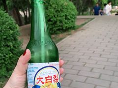 -二一九公园