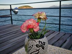 -越海渔村