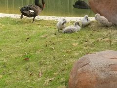 -艾溪湖湿地公园