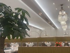 -圆苑(静安寺店)