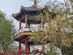 -莲花池公园