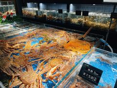 -徐记海鲜(南油永新汇店)