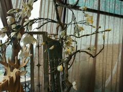 -烛影拾光观景餐厅·创意菜·摄影·小提琴(大唐不夜城店)