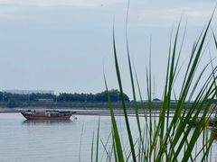 -大湾区中央湿地公园-十九涌