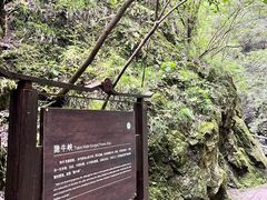 -牛背梁国家森林公园