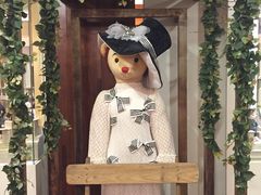 -济州岛泰迪熊博物馆