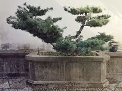 -木渎古镇