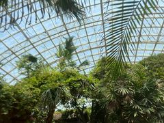 -盛泰恐龙谷温泉