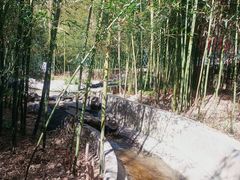 -红螺寺
