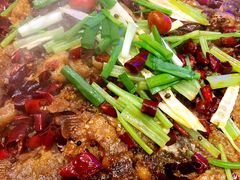 -老板恋上鱼(恒隆广场店)