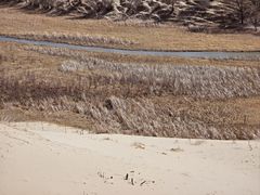 -库伦旗银沙湾旅游景区