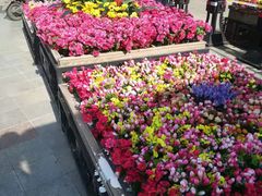 -小白楼1902欧式风情街