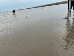 -东疆建设开发纪念公园