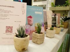 -恋暖初茶(万菱汇店)