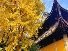 -北寺塔