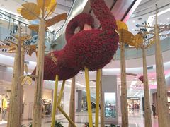 -凯德广场(学府店)