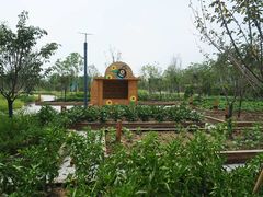 -水月周庄铂尔曼酒店 · 漾全日餐厅
