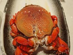 -阳光岛·海鲜盛宴(银泰中心in99店)