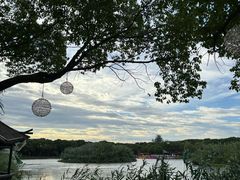 -沙家浜风景区